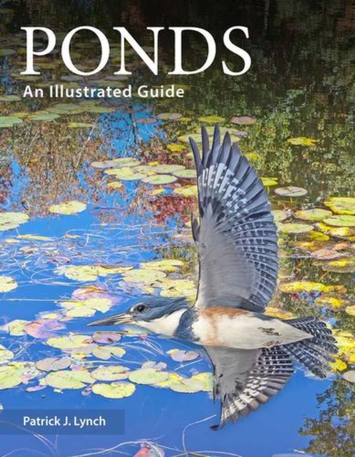 Ponds