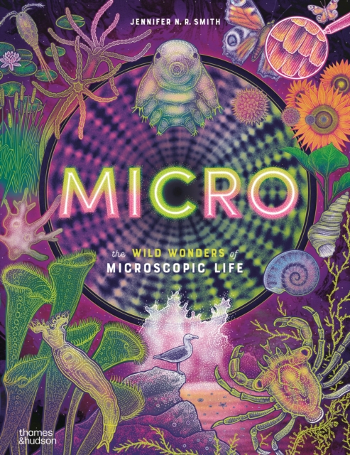 Micro