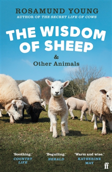 The Wisdom of Sheep &amp; Other Animals