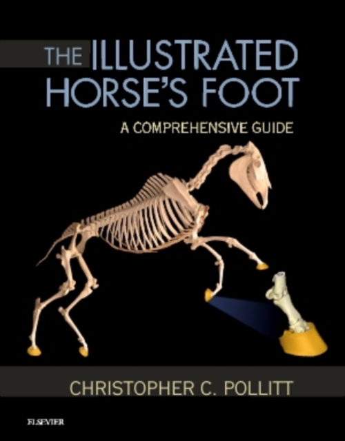 The Illustrated Horse's Foot
