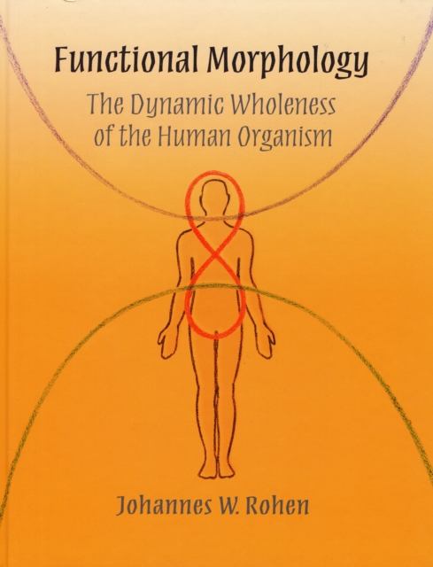 Functional Morphology