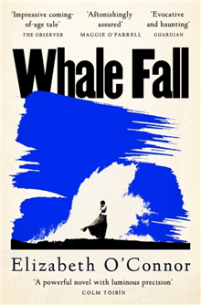 Whale Fall