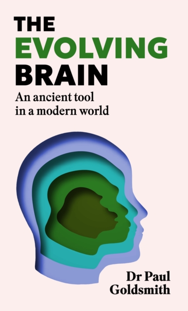 The Evolving Brain