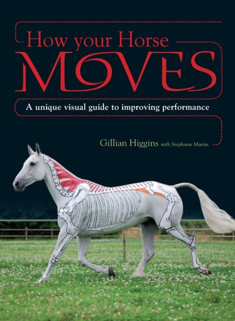 How Your Horse Moves