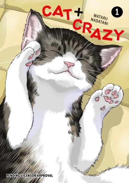 Cat + Crazy Volume 1