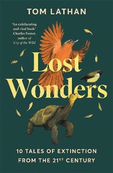 Lost Wonders