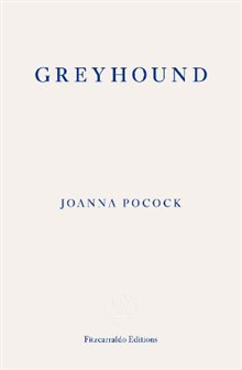 Greyhound