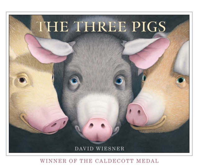 Three pigs