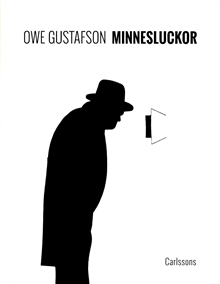 Minnesluckor