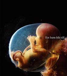 Product Image for Ett barn blir till