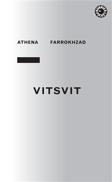 Vitsvit