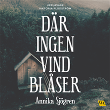 Där ingen vind blåser