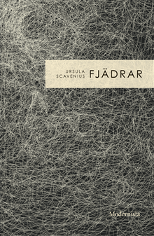 Fjädrar