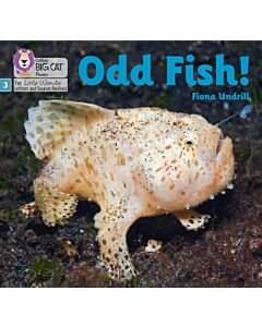 Odd Fish!