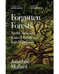 Forgotten Forests