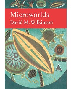 Microworlds