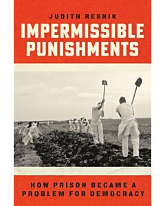 Impermissible Punishments
