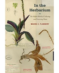 In the Herbarium