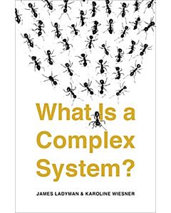 What Is a Complex System?