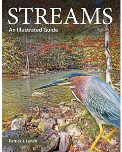 Streams