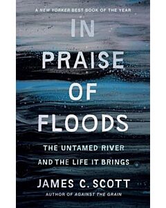 In Praise of Floods