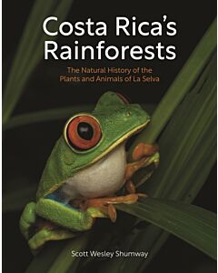 Costa Rica's Rainforests