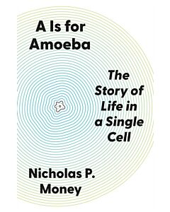 A Is for Amoeba