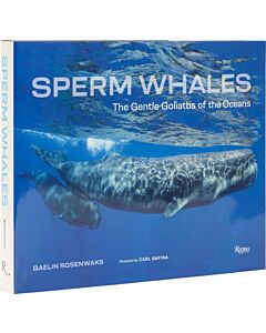 Sperm Whales