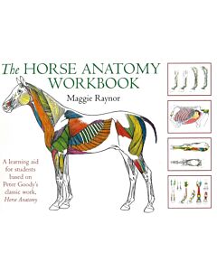 Horse Anatomy Workbook