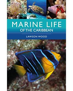 Marine Life of the Caribbean