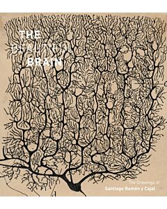 Beautiful brain: the drawings of ramon y cajal - the drawings of ramon y ca