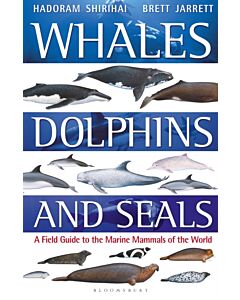 Whales, Dolphins and Seals
