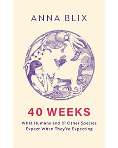 40 Weeks