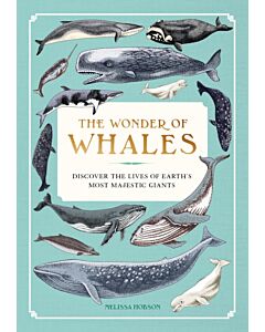 The Wonder of Whales