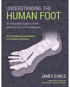 Understanding the Human Foot