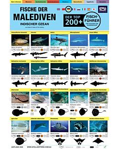 Malediven Fisch-Feldfuhrer