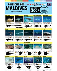 Maldives Guide Des Poissons