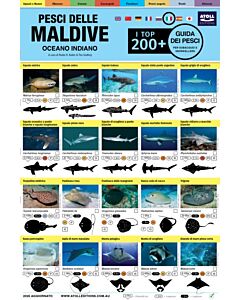Maldive Guida Dei Pesci