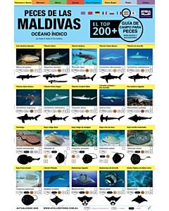 Maldivas Guia De Campo Para Peces