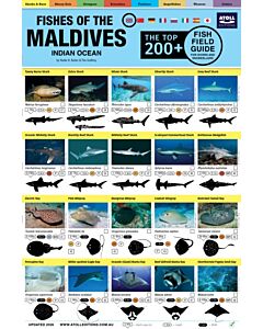 Maldives Fish Field Guide "Top 200+"