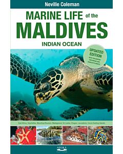 Marine Life of the Maldives - Indian Ocean