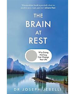 The Brain at Rest