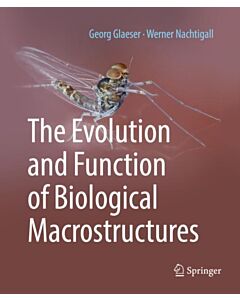 The Evolution and Function of Biological Macrostructures