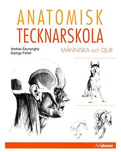 Anatomisk tecknarskola : människa och djur