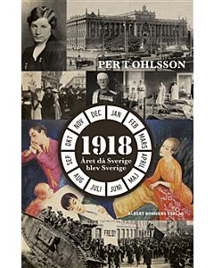 1918 : året då Sverige blev Sverige