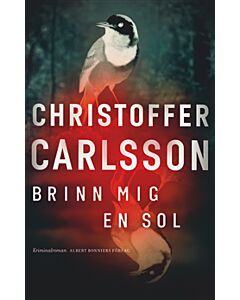 Brinn mig en sol