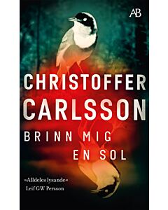 Brinn mig en sol