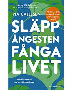 Släpp ångesten, fånga livet : övervinn oro och ängslan med metakognitiv terapi