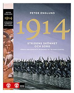 Stridens skönhet och sorg 1914 : första världskrigets inledande år i 68 korta kapitel