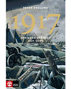 Stridens skönhet och sorg 1917 : första världskrigets fjärde år i 108 korta kapitel